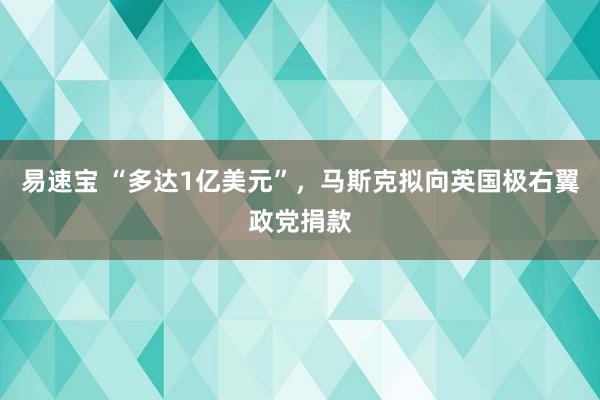 易速宝 “多达1亿美元”，马斯克拟向英国极右翼政党捐款