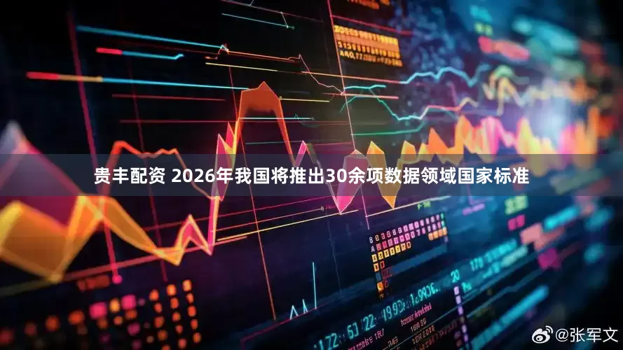 贵丰配资 2026年我国将推出30余项数据领域国家标准